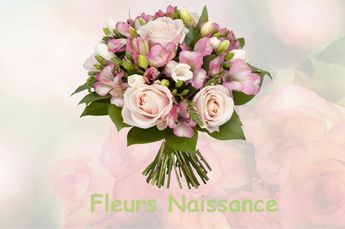 fleurs naissance MISSY-SUR-AISNE